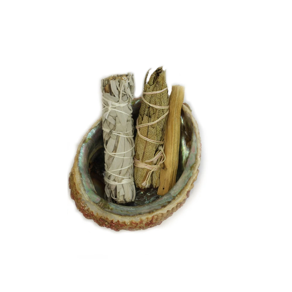 Abalone Smudge Shell - Large 5"-6"