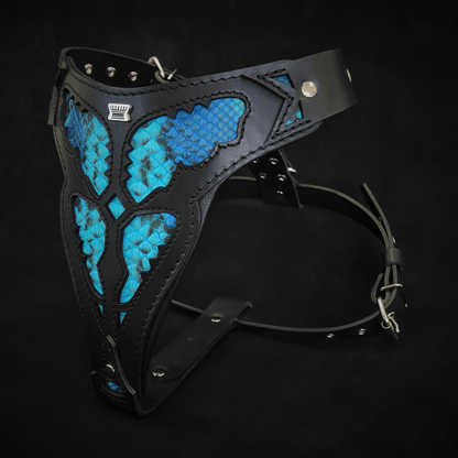 The ''Morelia Python'' Harness OR Harness & Leash