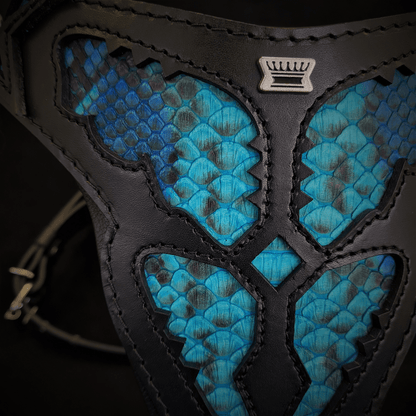 The ''Morelia Python'' Harness OR Harness & Leash