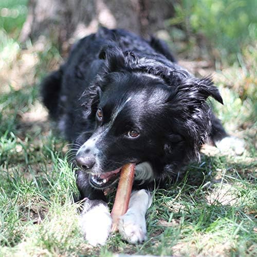 100% Natural Brazilian Bully Sticks - *subscription item