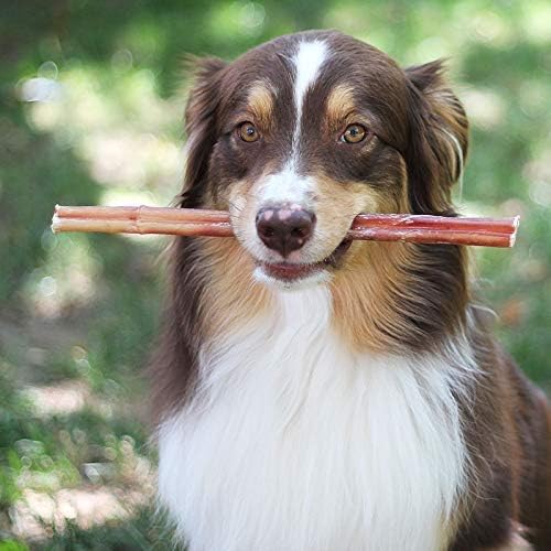 100% Natural Brazilian Bully Sticks - *subscription item