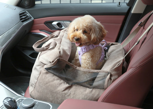 Puff Guard Dog Car Seat for The Little Gals & Fellas under 18lbs