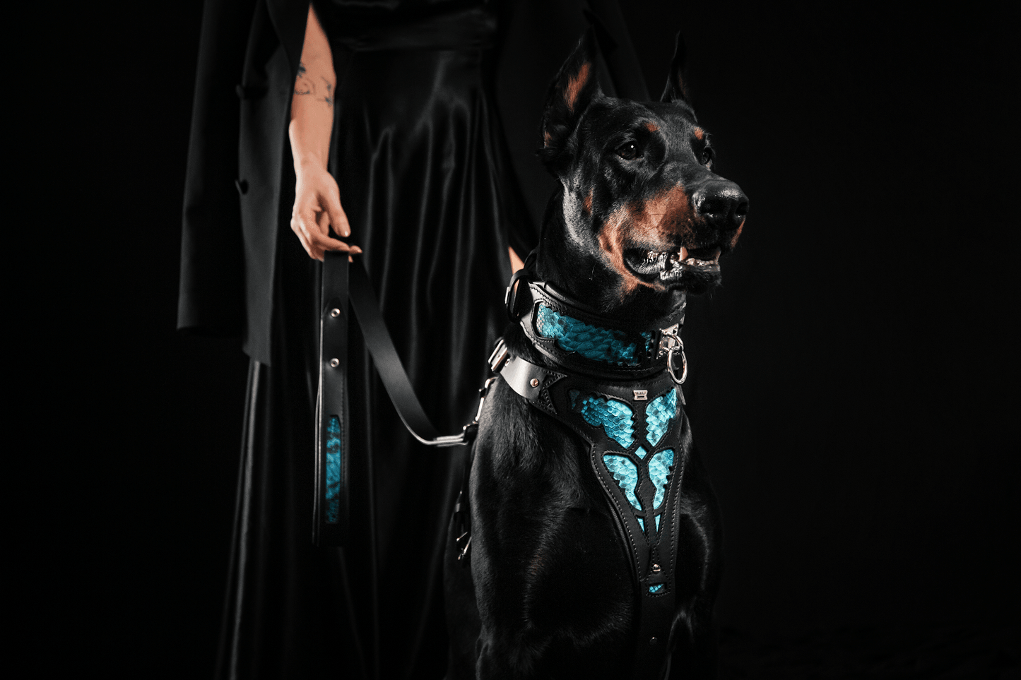 The ''Morelia Python'' Harness OR Harness & Leash