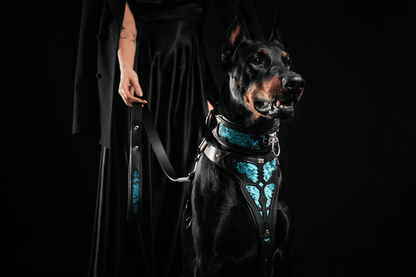 The ''Morelia Python'' Harness OR Harness & Leash