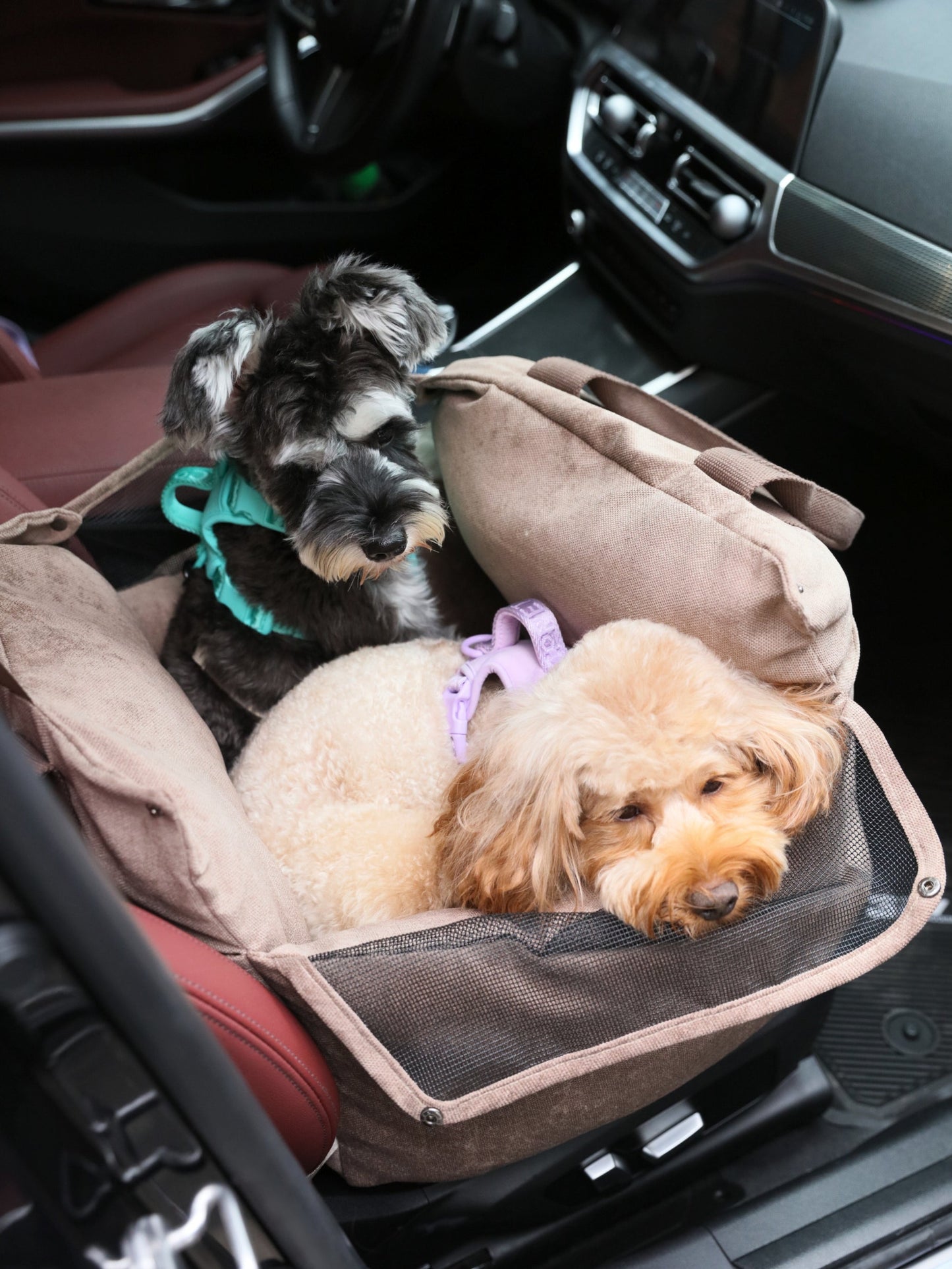 Puff Guard Dog Car Seat for The Little Gals & Fellas under 18lbs