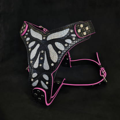 The ''Ariel'' Harness OR Harness & Leash set