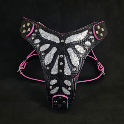 The ''Ariel'' Harness OR Harness & Leash set