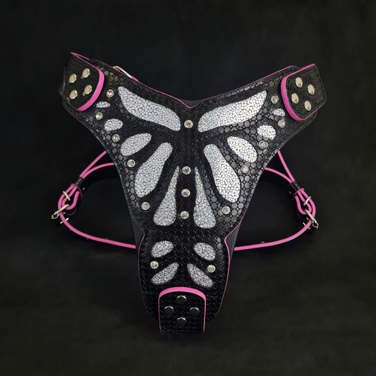 The ''Ariel'' Harness OR Harness & Leash set