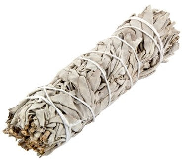 Abalone and Sage Smudge