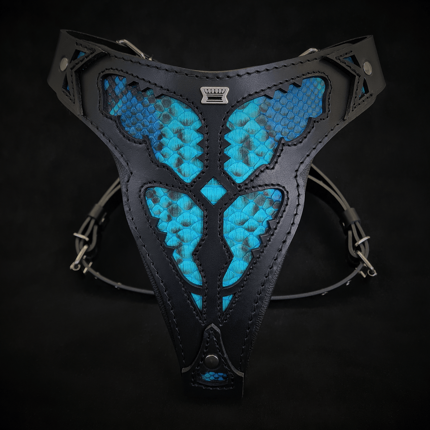The ''Morelia Python'' Harness OR Harness & Leash