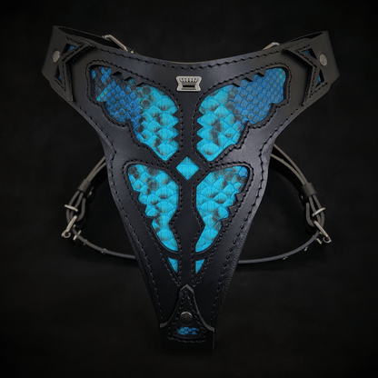 The ''Morelia Python'' Harness OR Harness & Leash