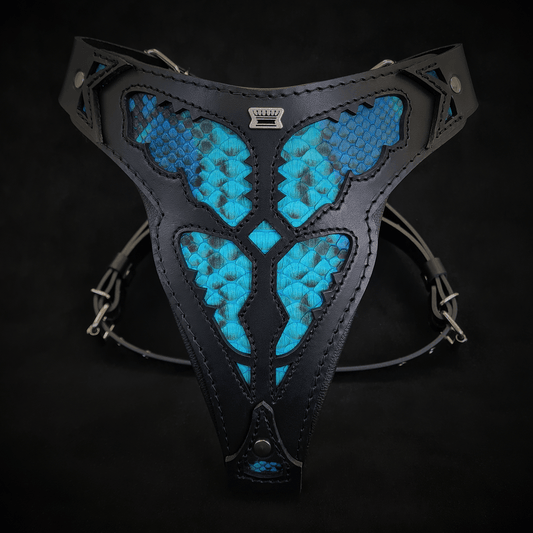 The ''Morelia Python'' Harness OR Harness & Leash