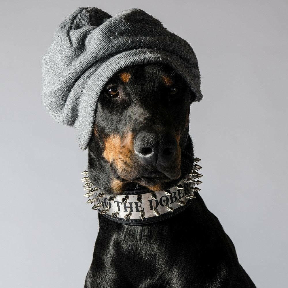 The "Metal" Collar - Personalize this collar for your furry sidekick