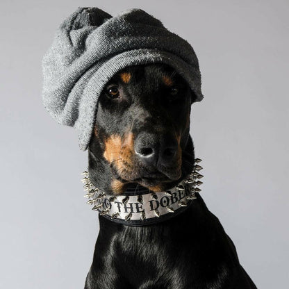 The "Metal" Collar - Personalize this collar for your furry sidekick