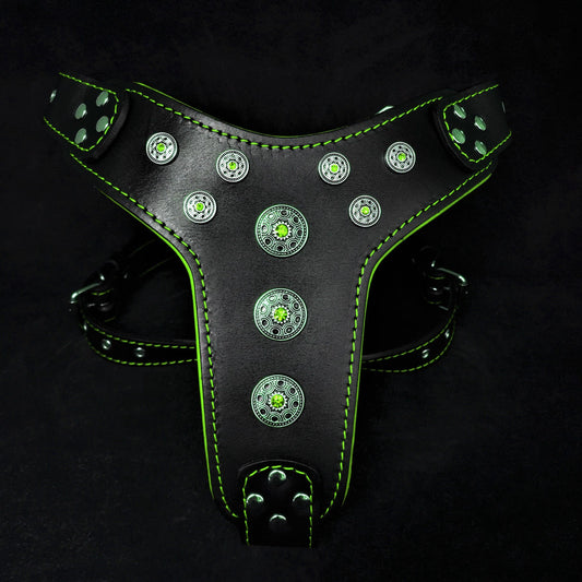 ''Bijou'' harness Black & Green for big dogs