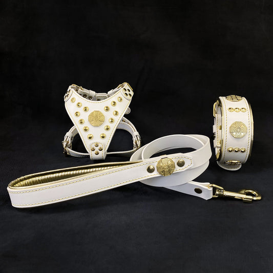 "Maximus White & Gold" Small dog SET - Harness - collar - lead
