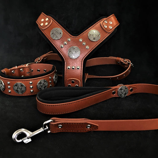 "Maximus Silver" BIG dog SET- Brown