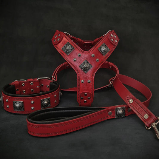 "EROS" BIG dog SET- Harness - collar - lead RED
