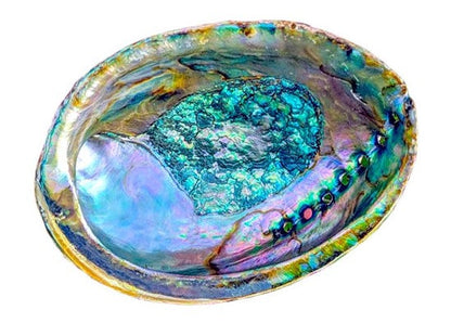 Abalone and Sage Smudge