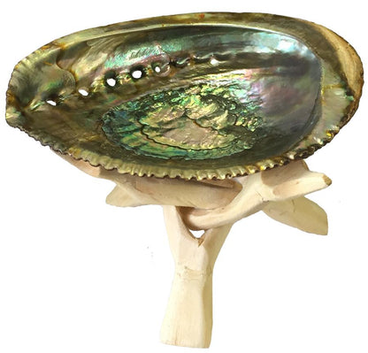 Abalone and Sage Smudge