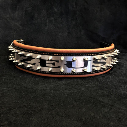 The "Metal" Collar - Personalize this collar for your furry sidekick