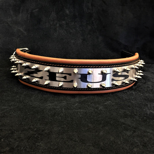 The "Metal" Collar - Personalize this collar for your furry sidekick