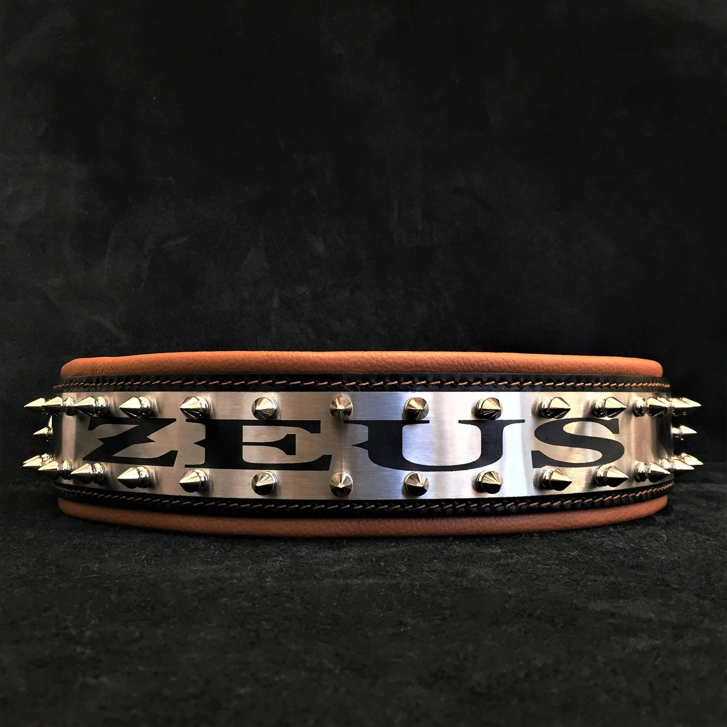 The "Metal" Collar - Personalize this collar for your furry sidekick