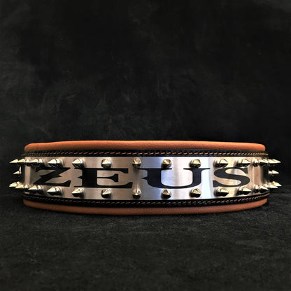 The "Metal" Collar - Personalize this collar for your furry sidekick